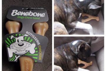 Benebone Wishbone Reviews