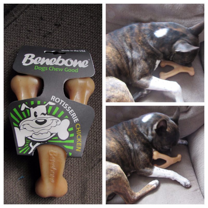 Benebone Wishbone Reviews