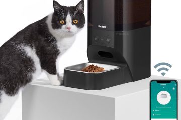 Best Automatic Cat Feeders of 2024