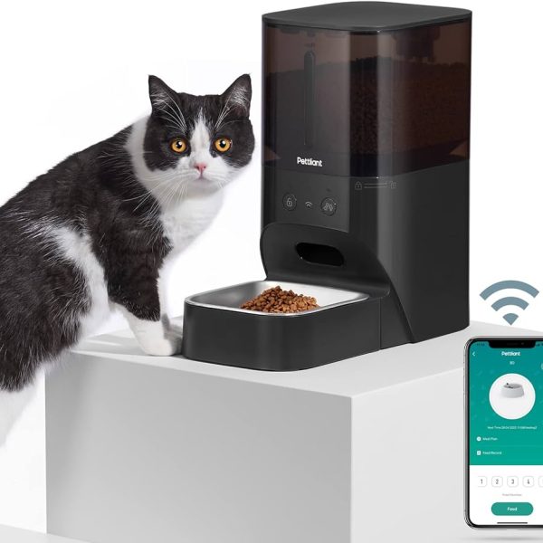 Best Automatic Cat Feeders of 2024