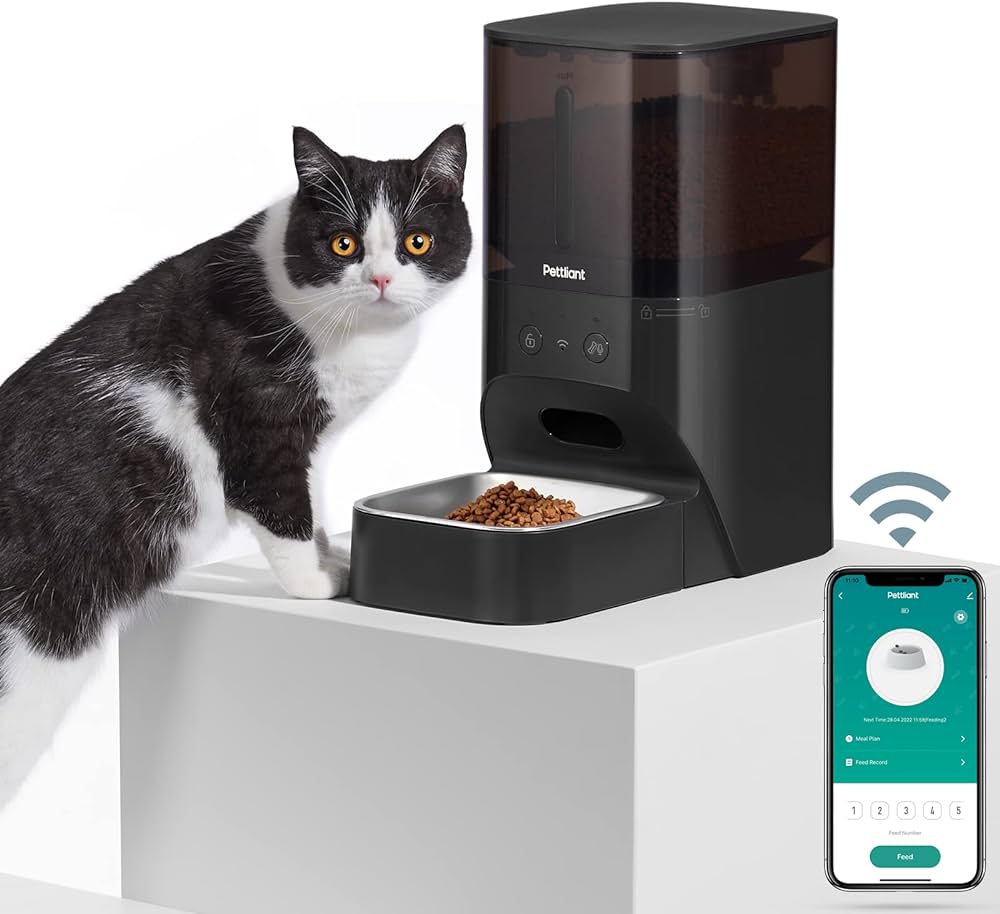 Best Automatic Cat Feeders of 2024