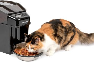 Best Automatic Pet Feeders of 2024