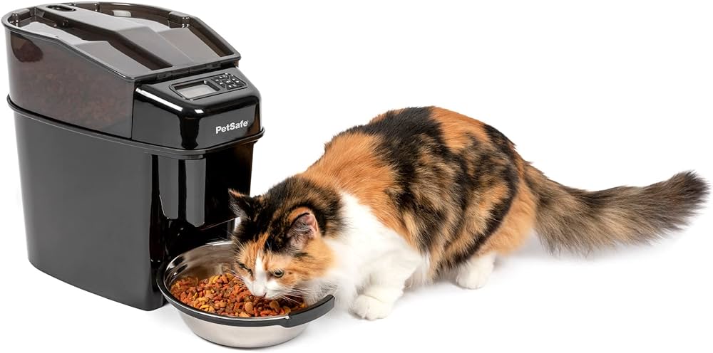 Best Automatic Pet Feeders of 2024