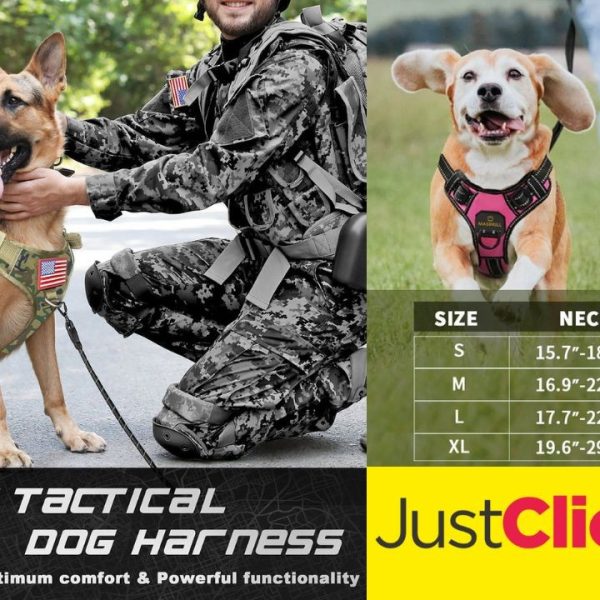 Best Dog Harnesses of 2024