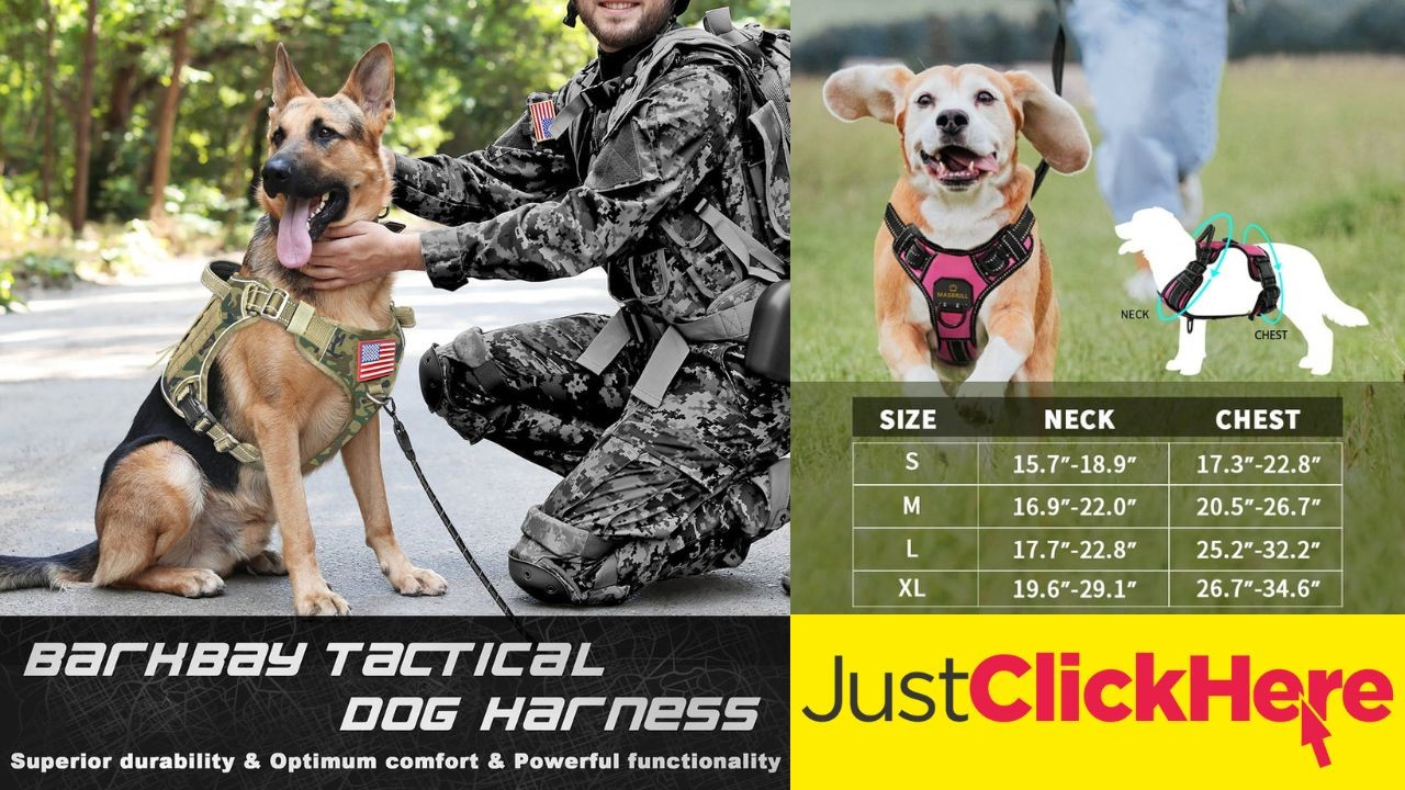 Best Dog Harnesses of 2024