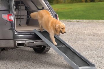 Dog Ramp For Bed Or Car