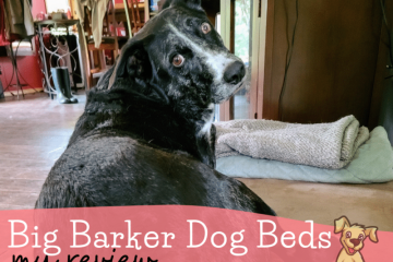 Orthopedic Dog Bed Reviews