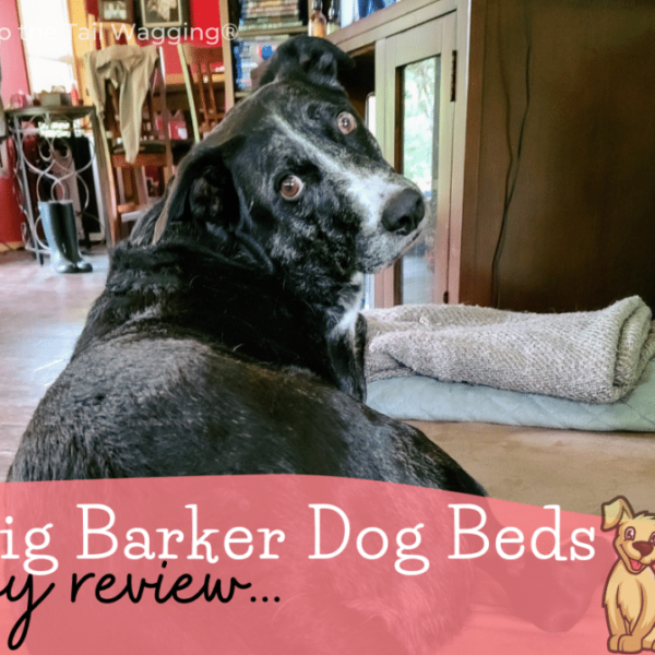 Orthopedic Dog Bed Reviews