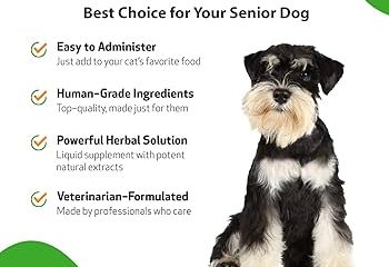 Enzyme Therapy For Schnauzer