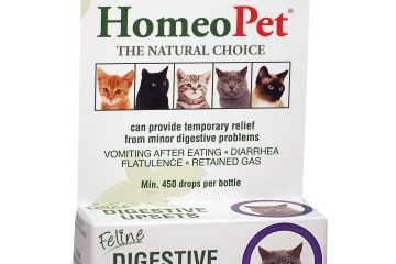 What Can You Give A Cat For An Upset Stomach